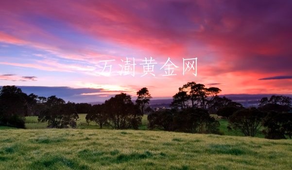 万澍黄金网-万澍黄金网官方
